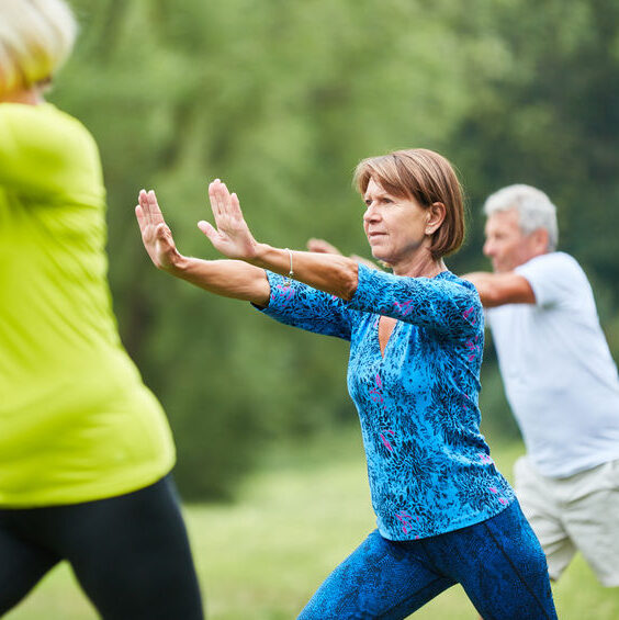 Seniors do Qi Gong or Tai Chi exercise – Area Agency on Aging of ...